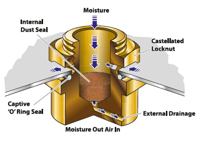 Ӣ��PEPPERSɢ�������/�����y